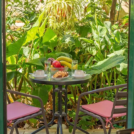 Penny's Daire Agia Efimia